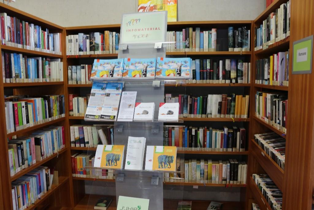 Buchstart